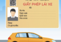 6 TRƯỜNG HỢP BỊ THU HỒI GIẤY PHÉP LÁI XE TỪ NGÀY 01/06