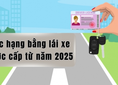 CÁC LOẠI GPLX VÀ ĐỘ TUỔI ĐƯỢC THI LẤY BẰNG MỚI NHẤT TỪ NĂM 2025